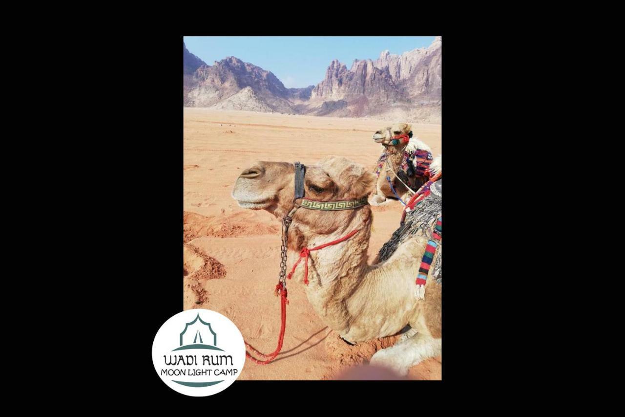 Wadi Rum Moon Light Camp Екстер'єр фото