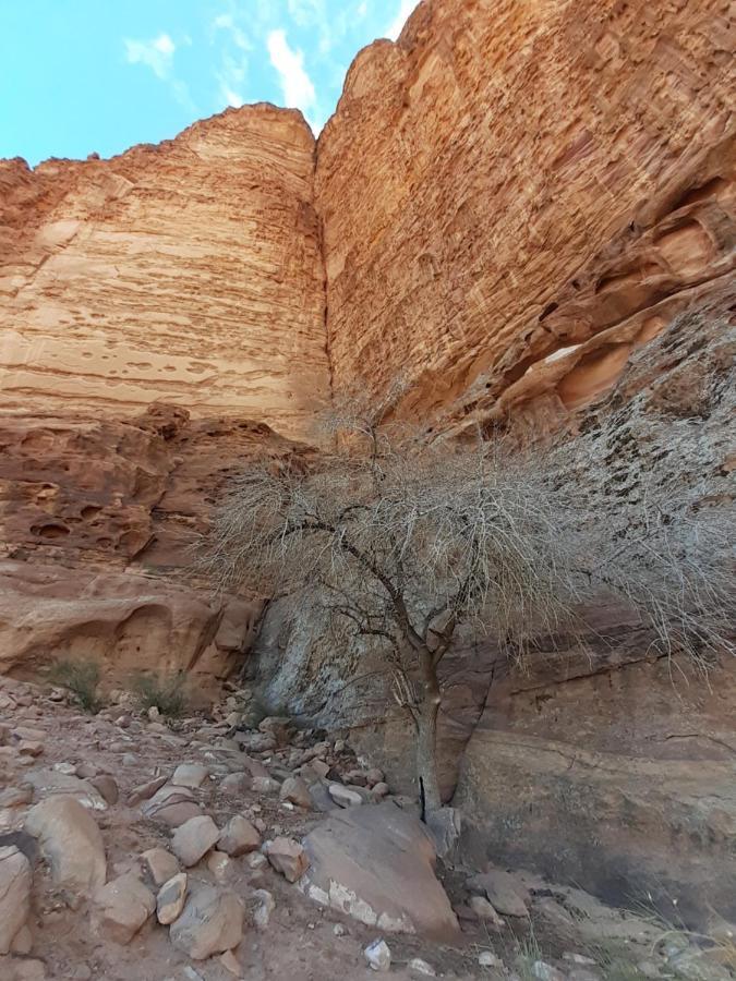 Wadi Rum Moon Light Camp Екстер'єр фото